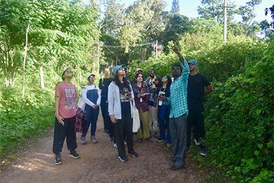Sage Ambassadors Programme